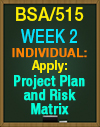 BSA/515 Week 2 Apply: Project Plan and Risk Matrix